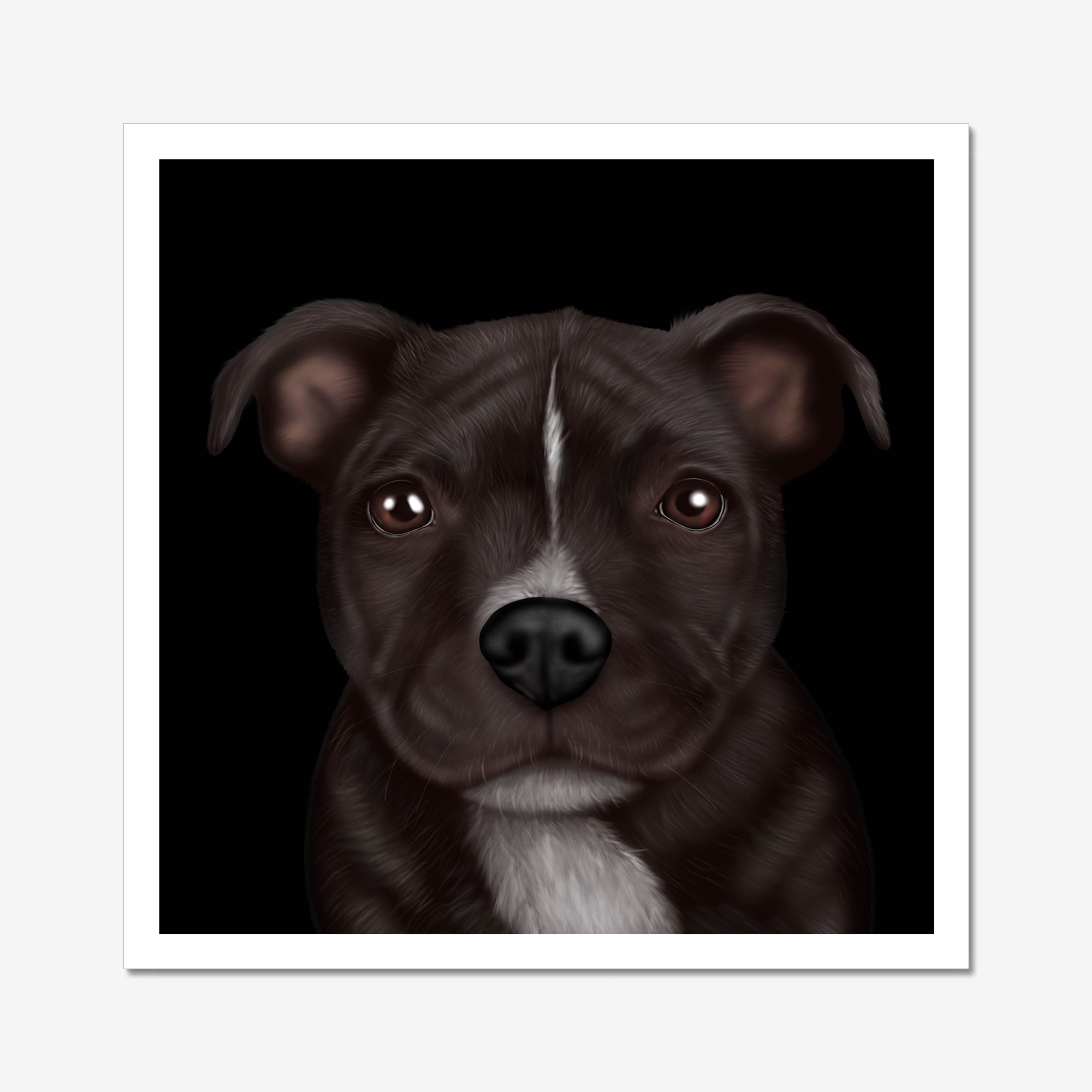 Staffy – Kitty's Art By Catherine Staffy – Kitty's Art By Catherine