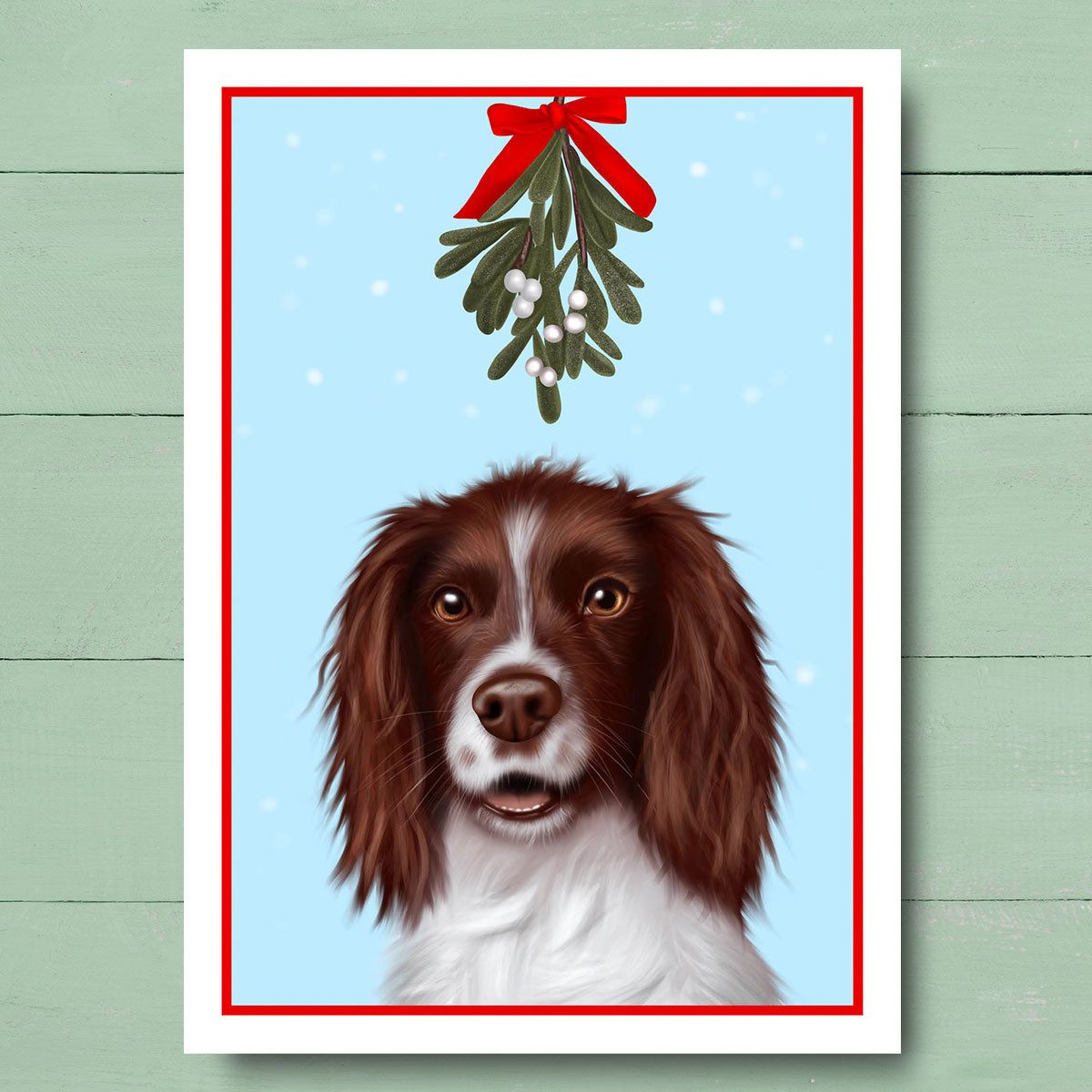 Springer Spaniel under Mistletoe