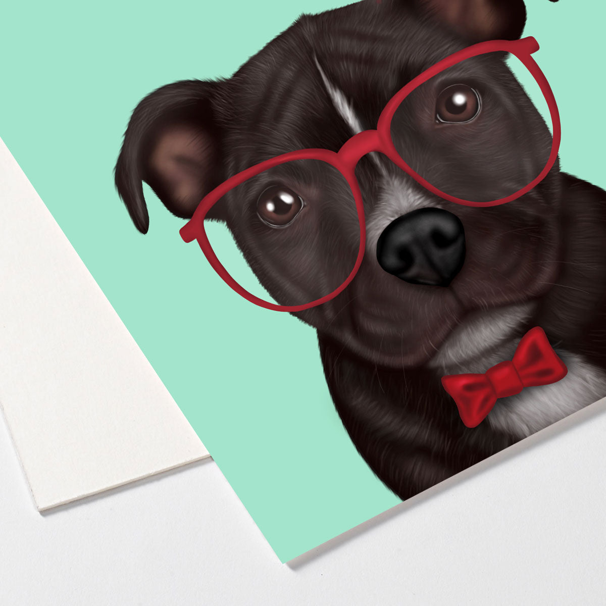 Staffordshire Bull Terrier in Glasses and Bow Tie