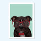 Staffy in Glasses - Art Print