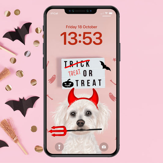 Bichon Frise Treat or Treat Phone Wallpaper