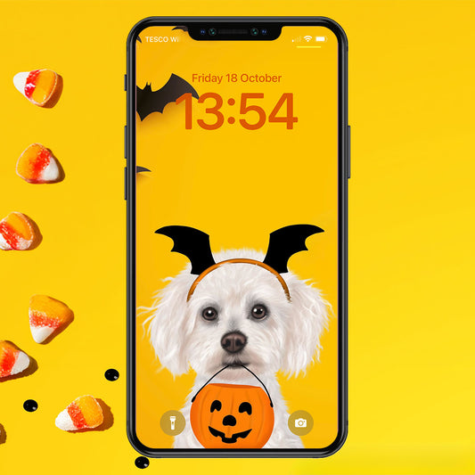 Bichon Frise Halloween Phone Wallpaper