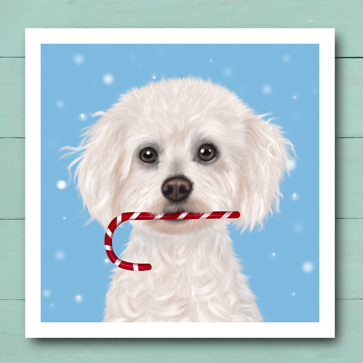 Bichon Frise Holding Candy Cane