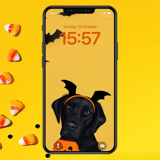 Black Labrador Halloween Phone Wallpaper