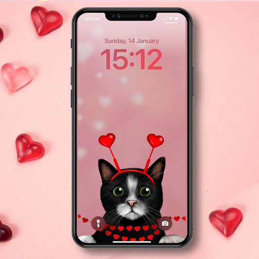 Black and White Cat and Hearts Phone Wallpaper