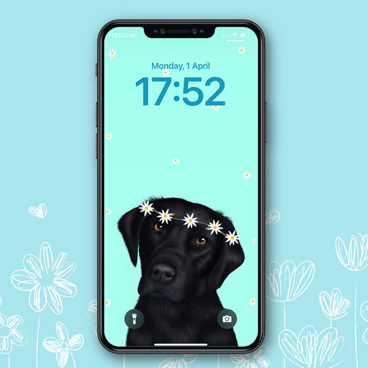 Black Labrador Spring Phone Wallpaper