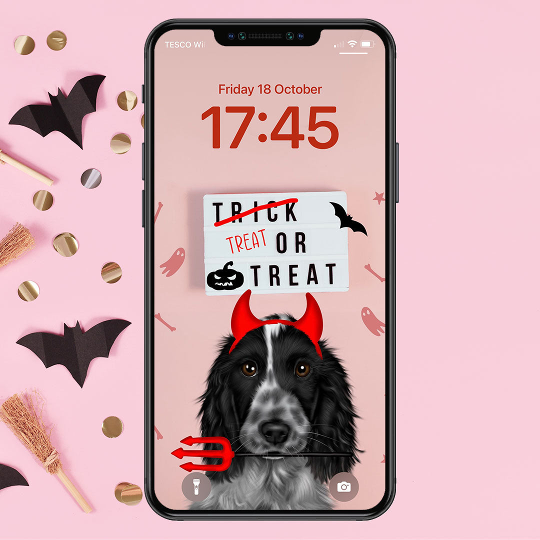 Blue Roan Cocker Spaniel Treat or Treat Phone Wallpaper