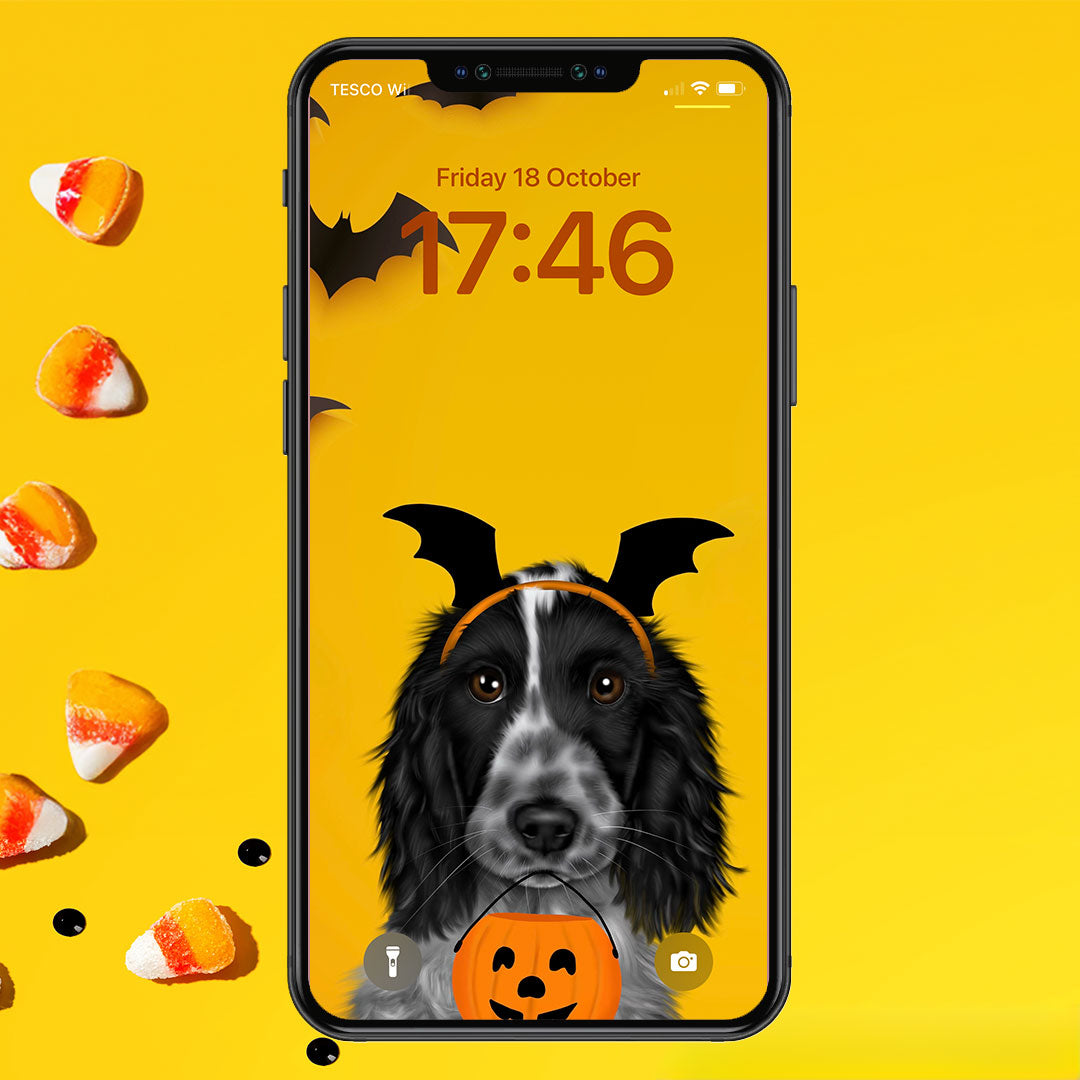 Blue Roan Cocker Spaniel Halloween Phone Wallpaper