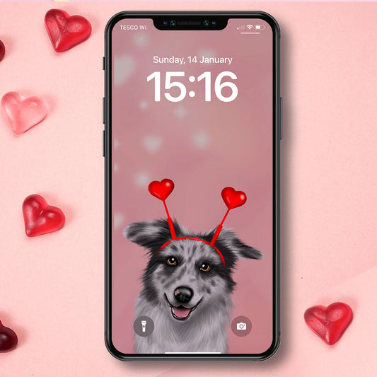 Blue Merle Border Collie and Hearts Phone Wallpaper