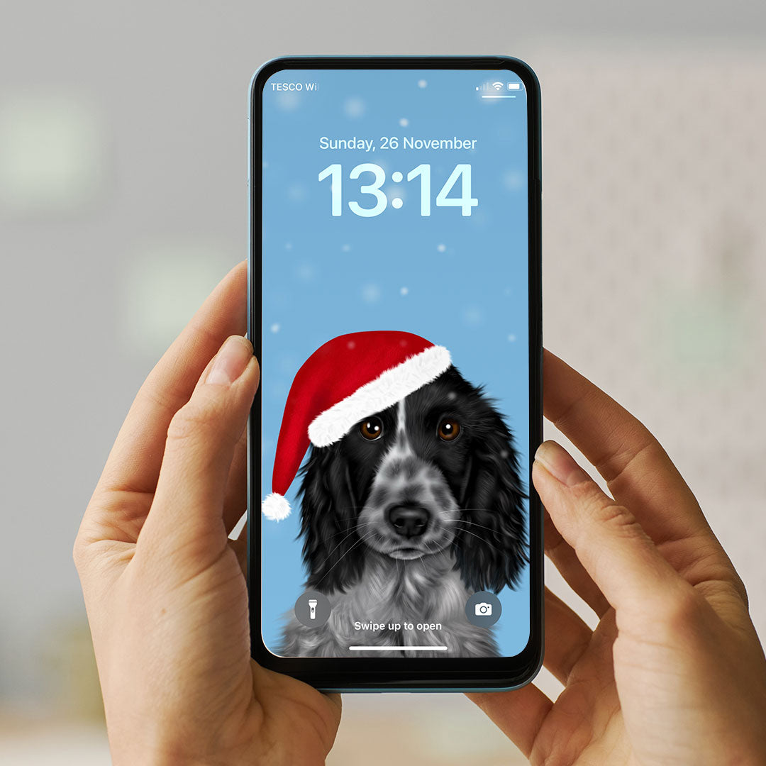 Blue Roan Cocker Spaniel in Santa Hat Phone Wallpaper