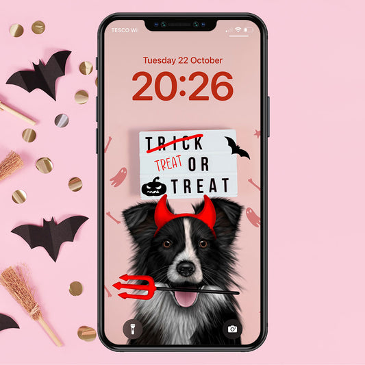 Border Collie Treat or Treat Phone Wallpaper