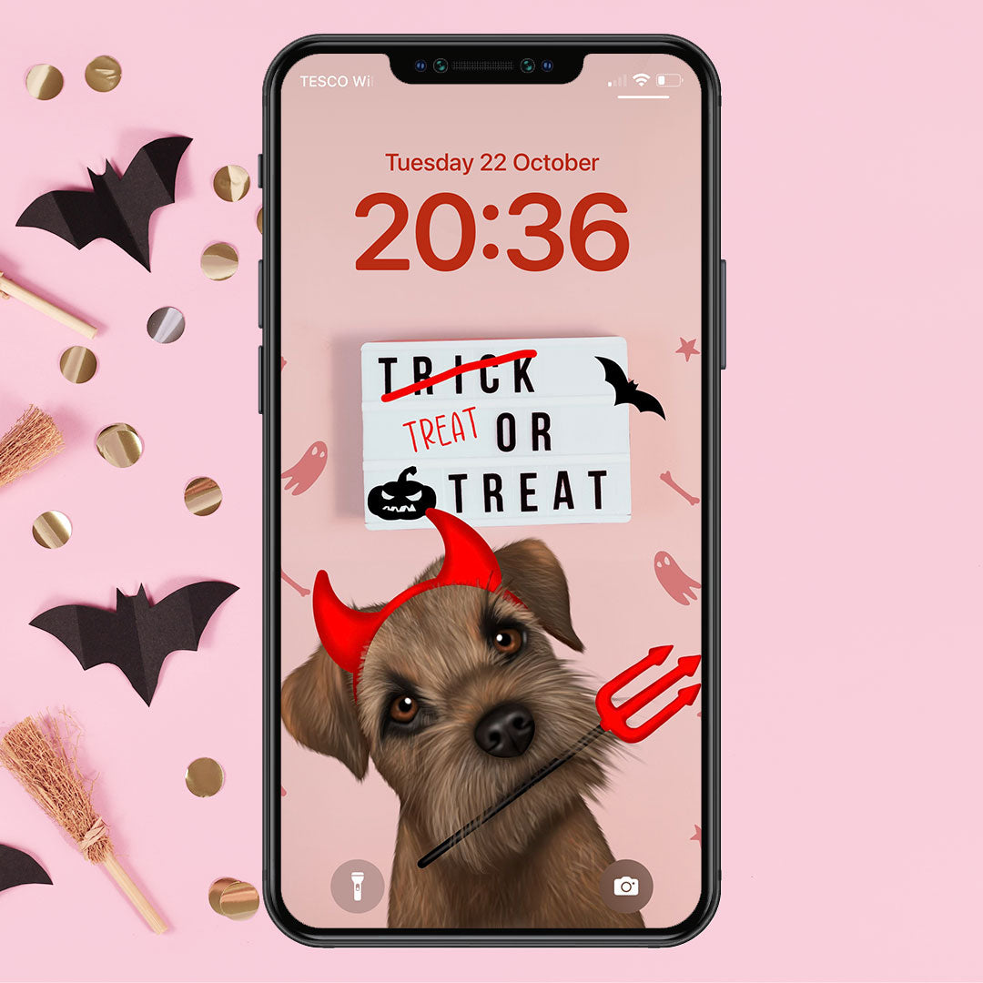 Border Terrier Treat or Treat Phone Wallpaper