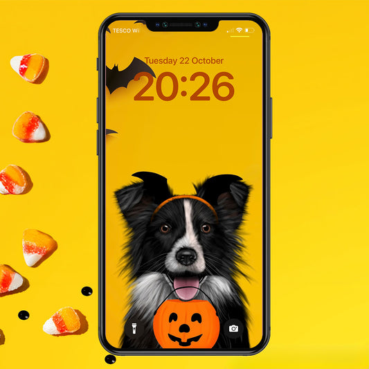 Border Collie Halloween Phone Wallpaper