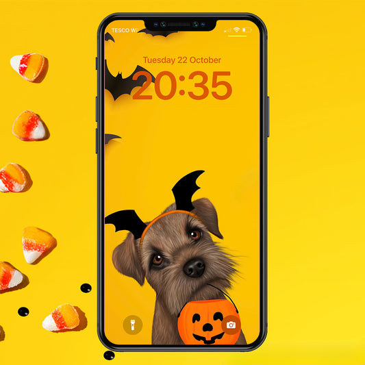 Border Terrier Halloween Phone Wallpaper