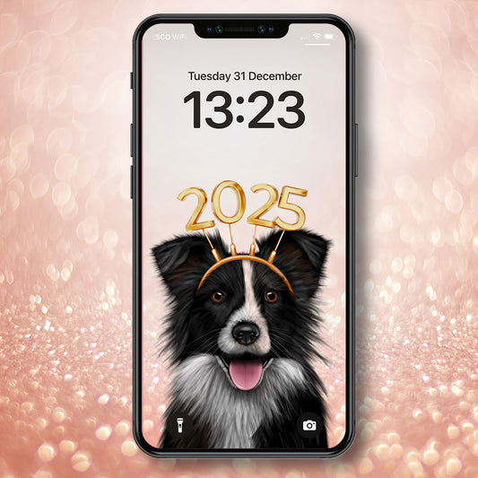 Border Collie New Year Phone Wallpaper