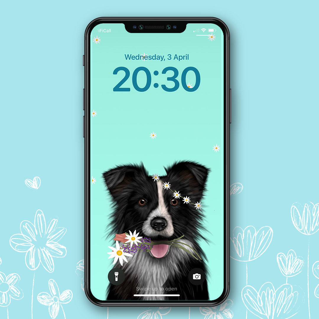 Border Collie Spring Phone Wallpaper