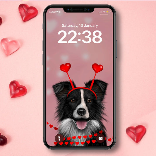 Border Collie and Hearts Phone Wallpaper