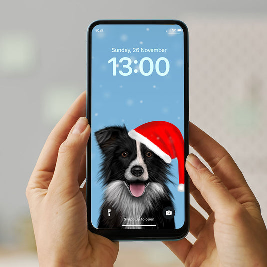 Border Collie in Santa Hat Phone Wallpaper