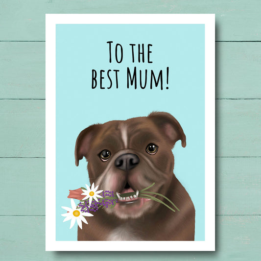 Chocolate and White bulldog Best Mum Card