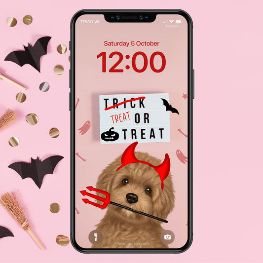 Cavapoo Treat or Treat Phone Wallpaper