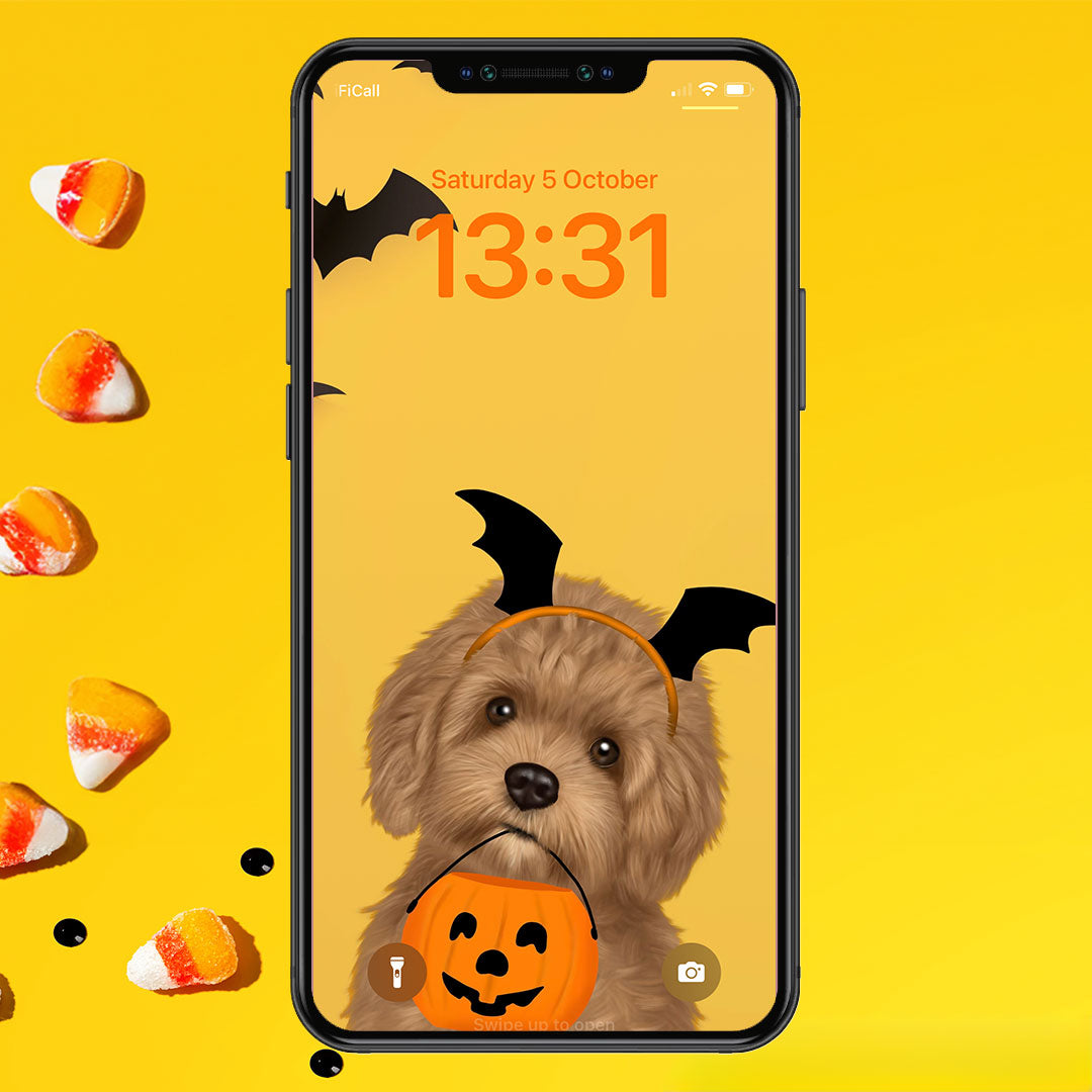 Cavapoo Halloween Phone Wallpaper