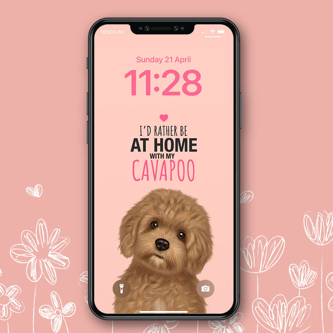 Home with my Cavapoo Phone Wallpaper