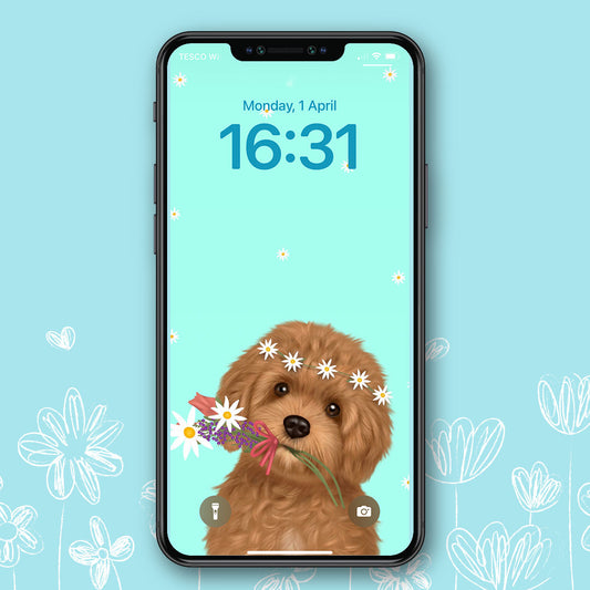 Cavapoo Spring Phone Wallpaper