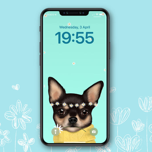 Chihuahua Spring Phone Wallpaper