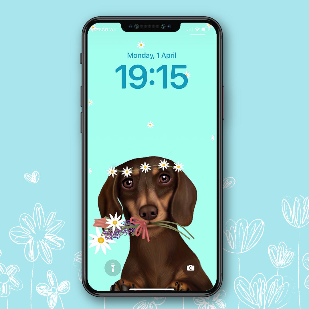 Dachshund Spring Phone Wallpaper