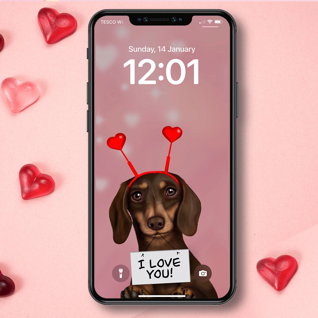 Dachshund and Hearts Phone Wallpaper