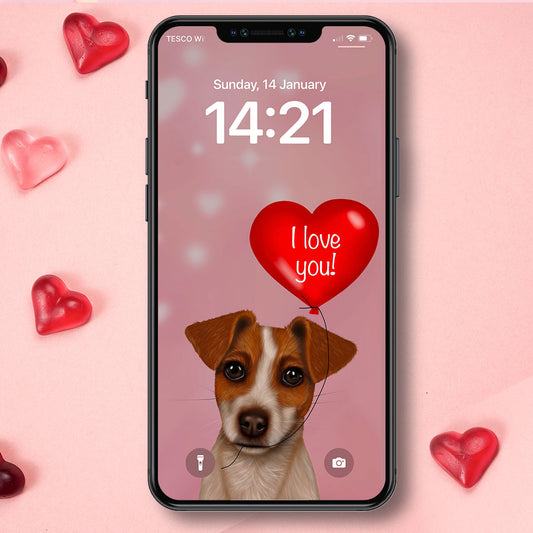 Jack Russell "I love you" Phone Wallpaper