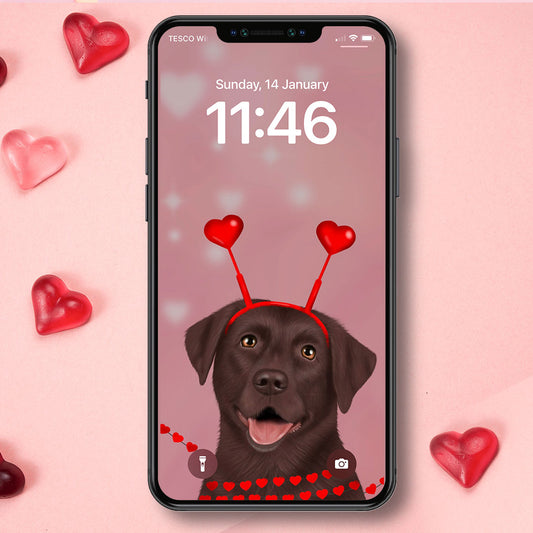 Chocolate Labrador and Hearts Phone Wallpaper