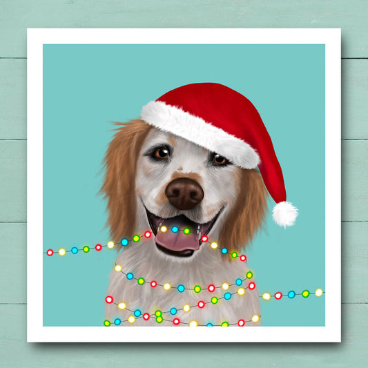 Lemon Roan Cocker Spaniel in Santa Hat