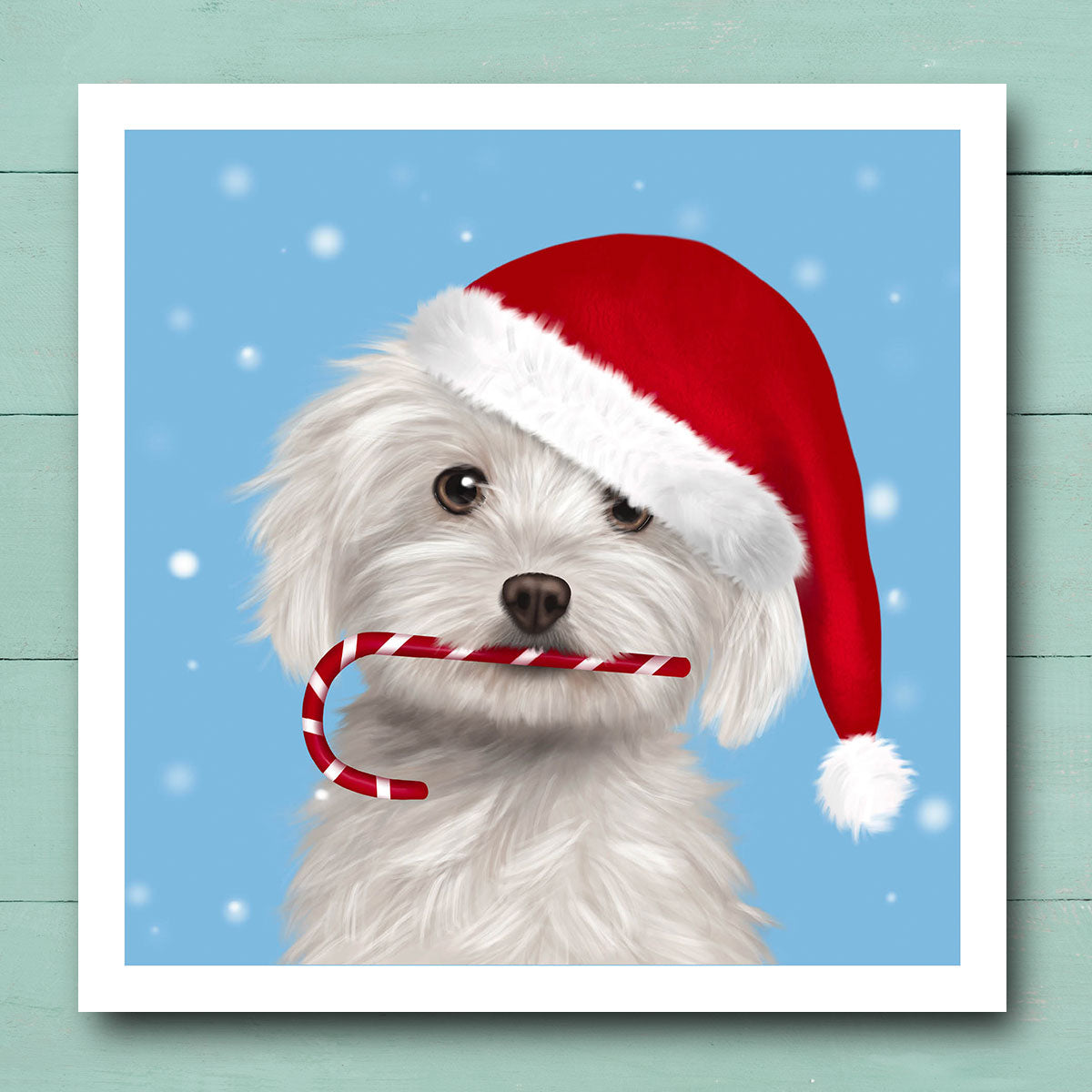 Maltese in Santa Hat