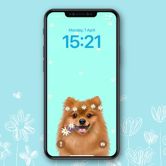 Pomeranian Spring Phone Wallpaper