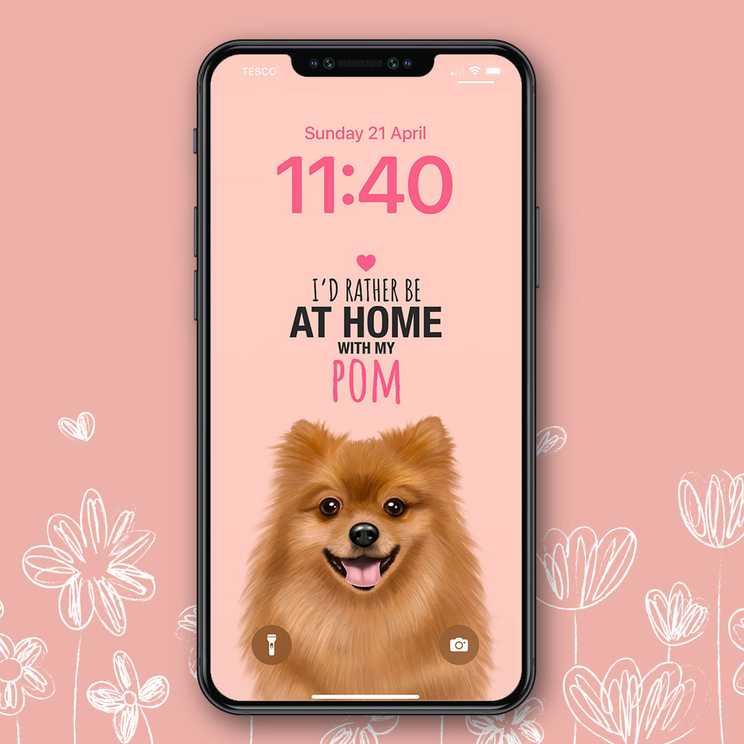 Home with my Pomeranian Phone Wallpaper