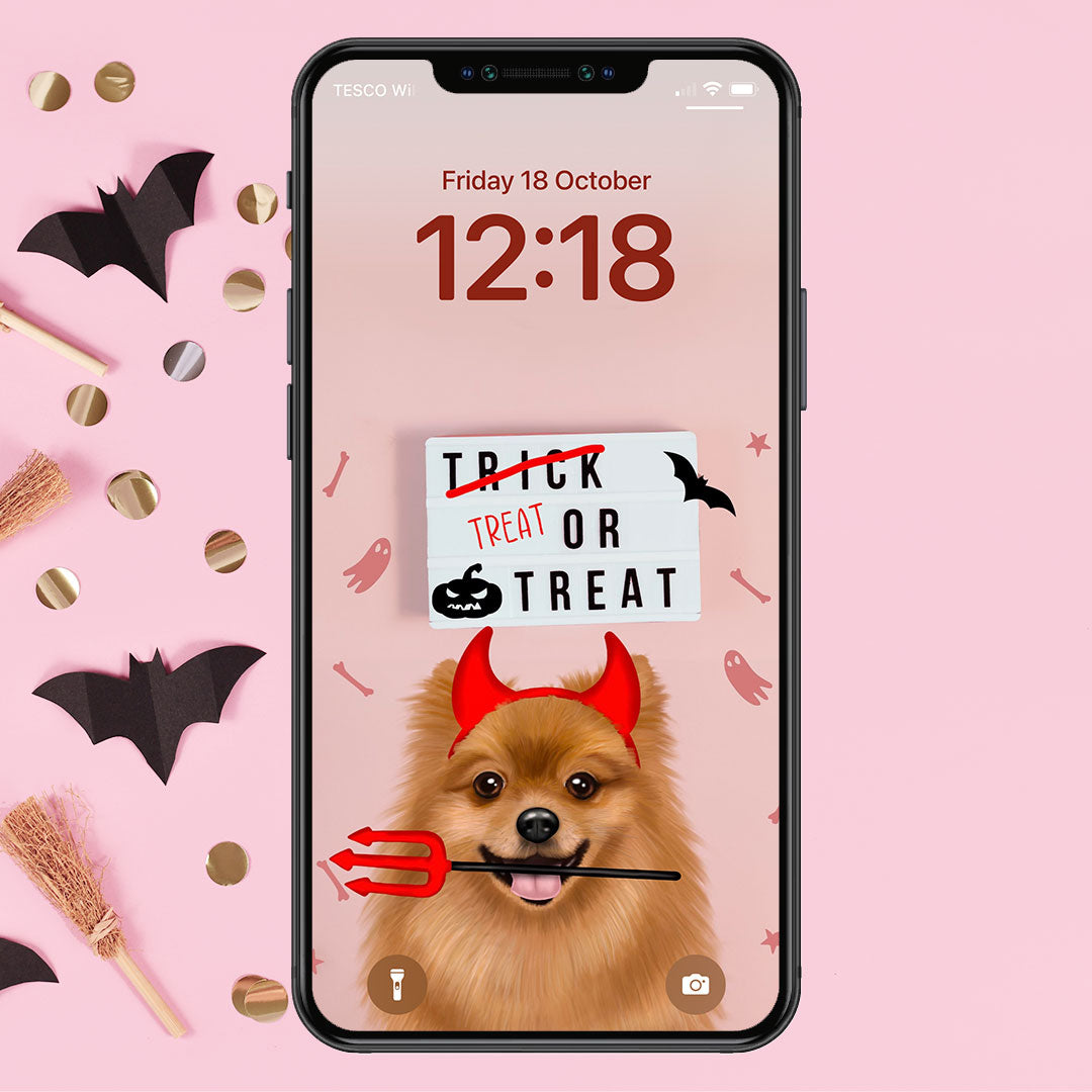 Pomeranian Treat or Treat Phone Wallpaper