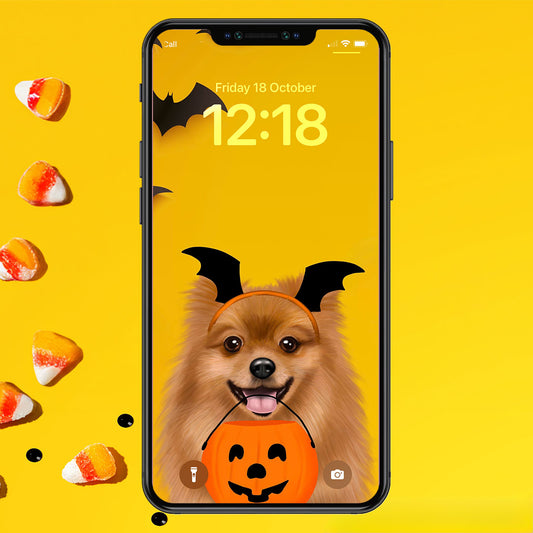 Pomeranian Halloween Phone Wallpaper