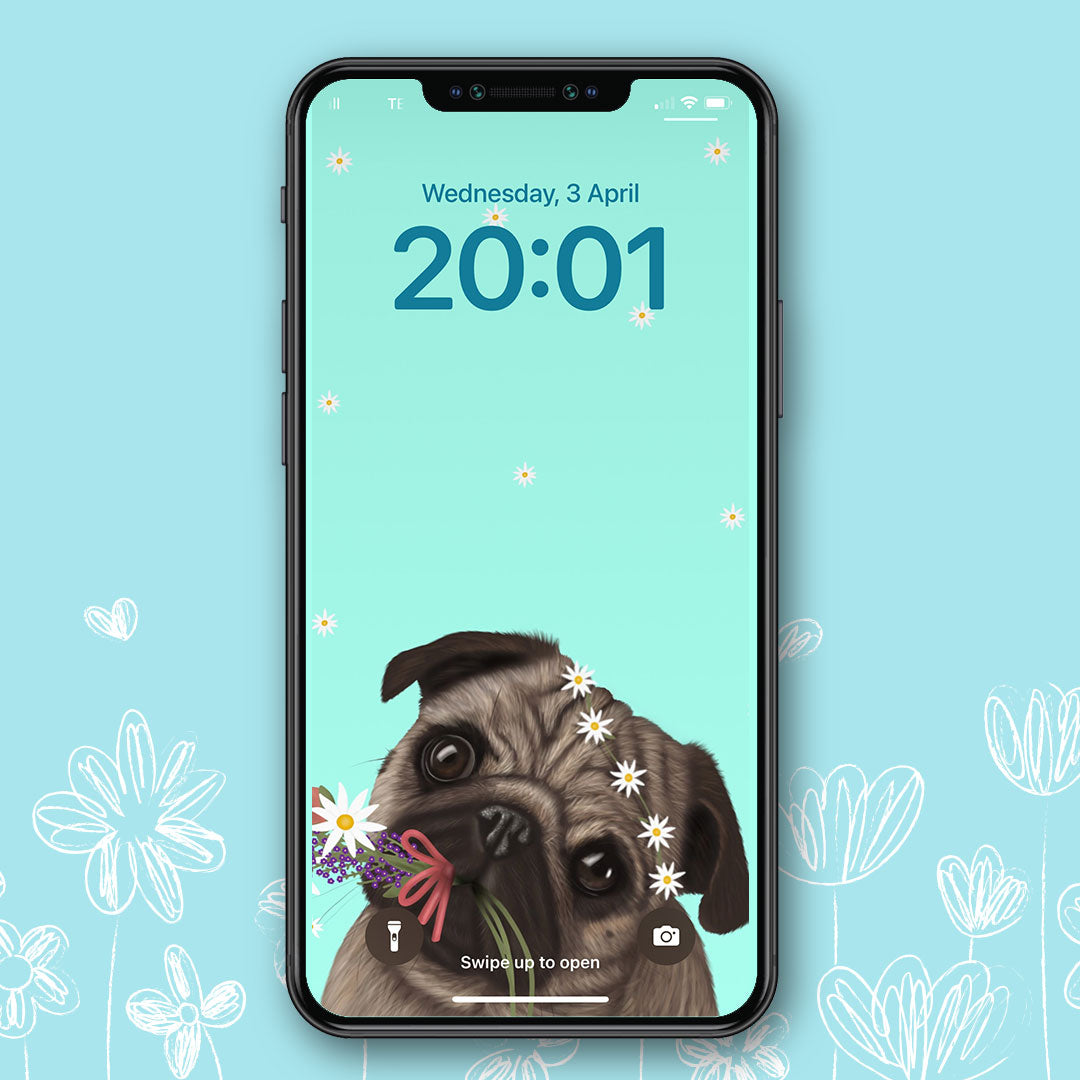 Pug Spring Phone Wallpaper