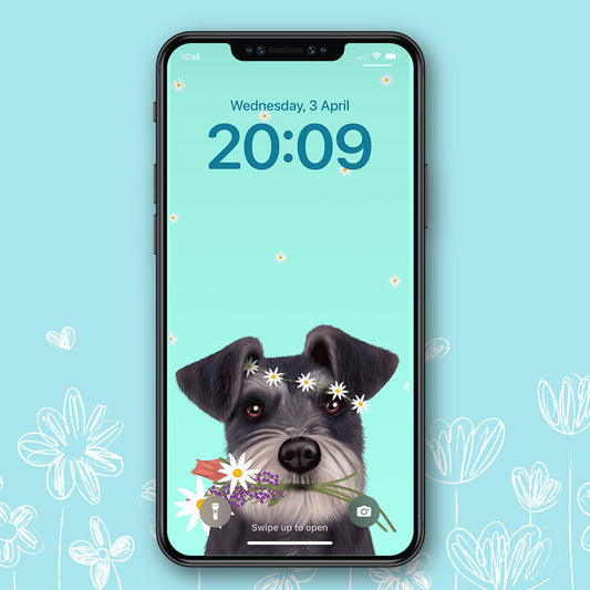 Schnauzer Spring Phone Wallpaper