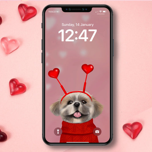 Shih Tzu Phone Wallpaper