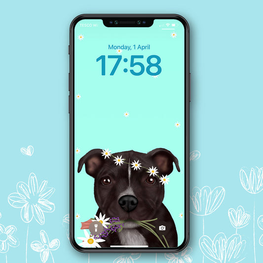 Staffordshire Bull Terrier Spring Phone Wallpaper