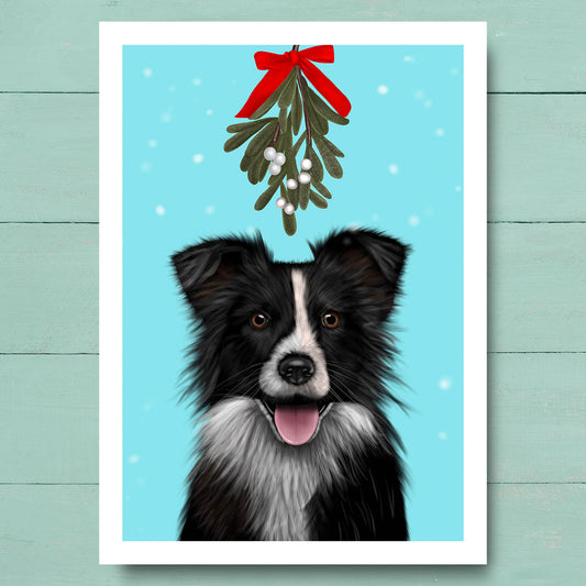 Border Collie Under Mistletoe