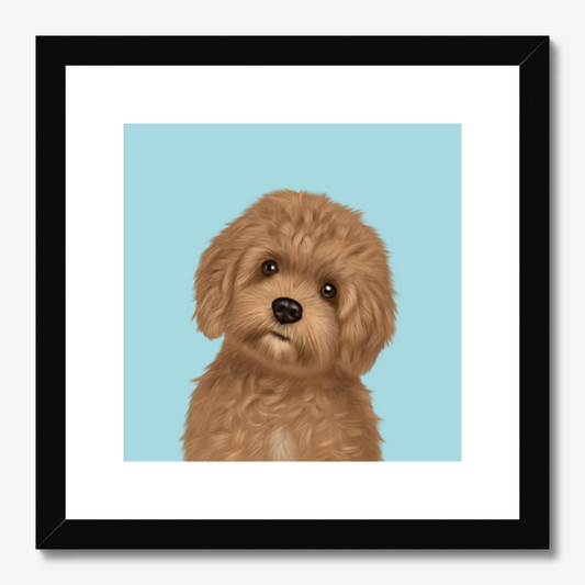 Cavapoo Framed Print