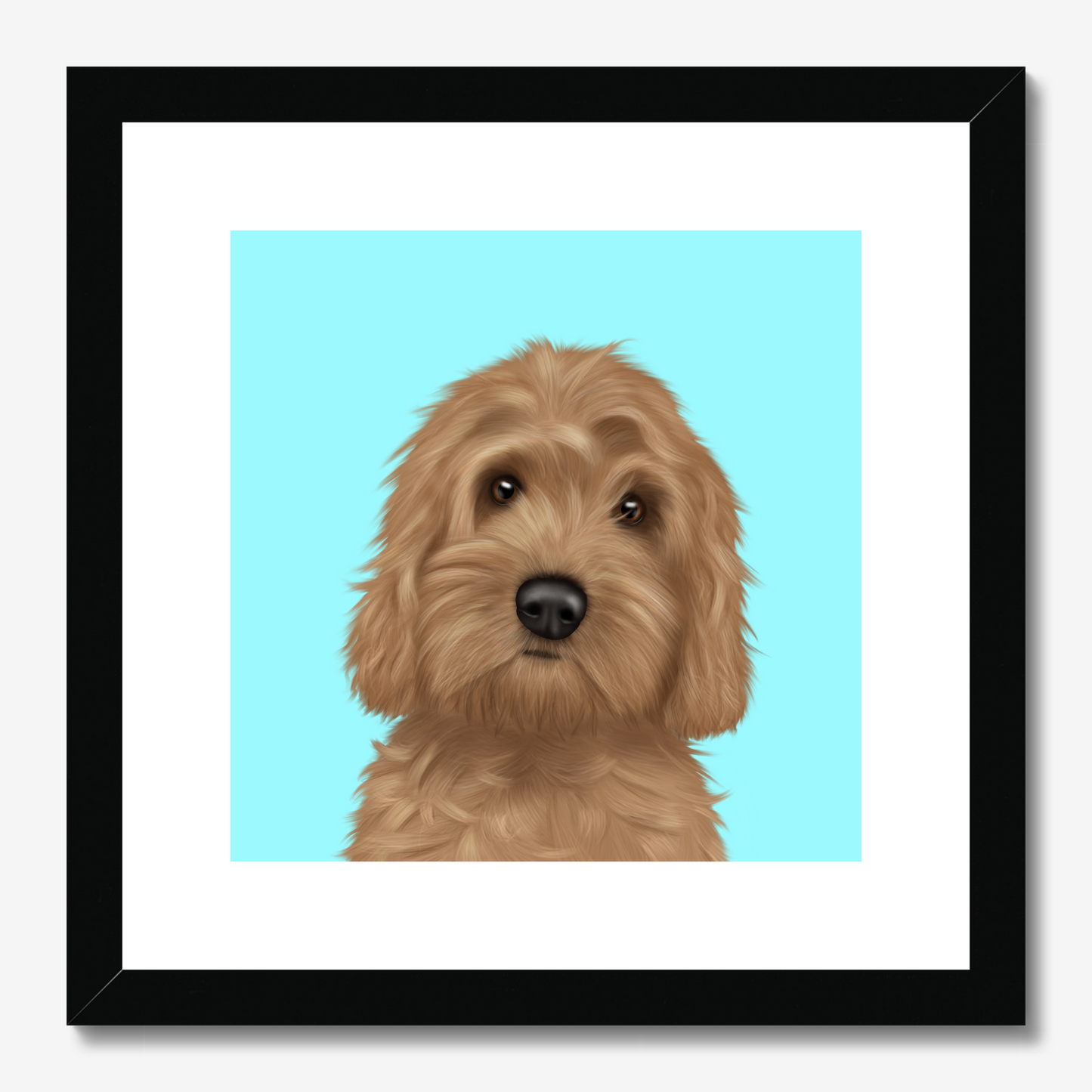 Cockapoo Framed Print