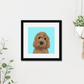 Cockapoo Framed Print