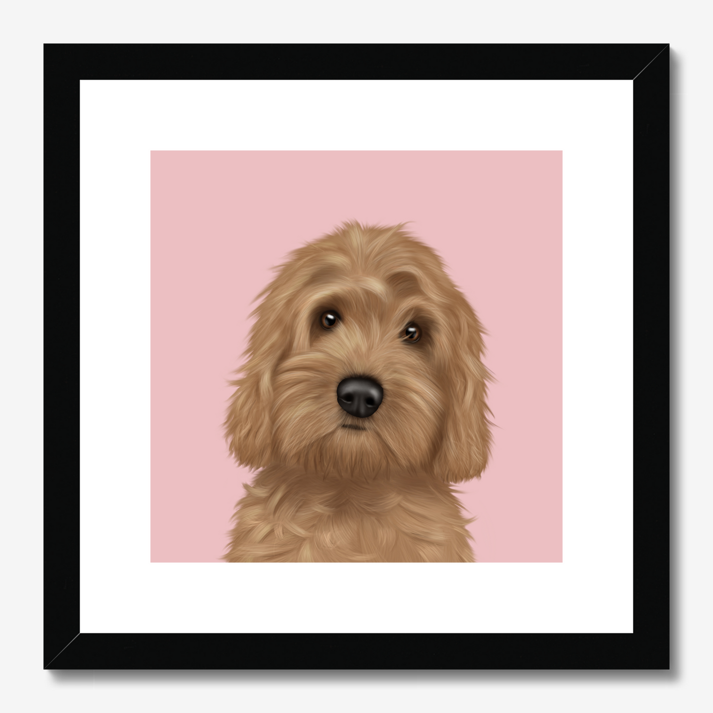 Cockapoo Framed Print