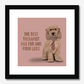 Cockapoo Therapist Framed Print