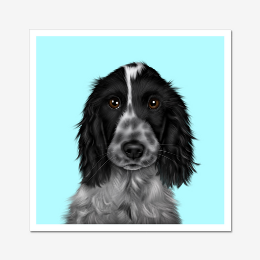 Blue Roan Cocker Spaniel - Art Print