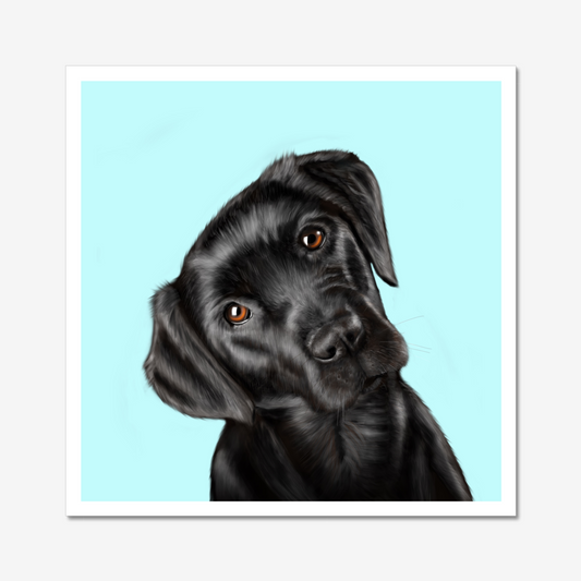 Black Labrador - Art Print